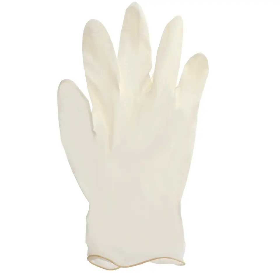 Disposable Poly Gloves 50PK