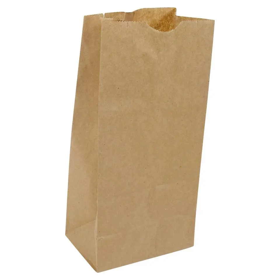 Lunch Paper Bags 30PK