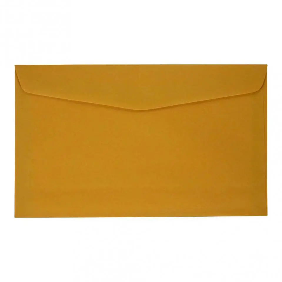 Kraft Envelopes 5.75" x 9.5", 10PK