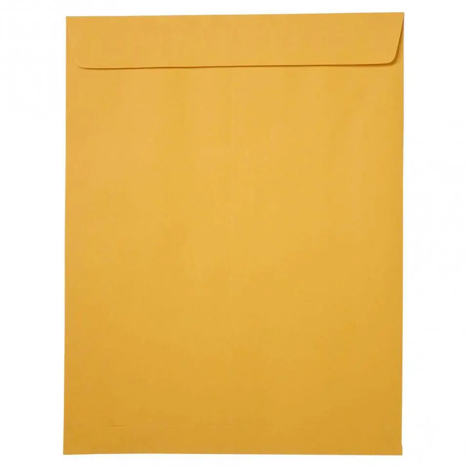 6 Kraft Envelopes 10"x13"