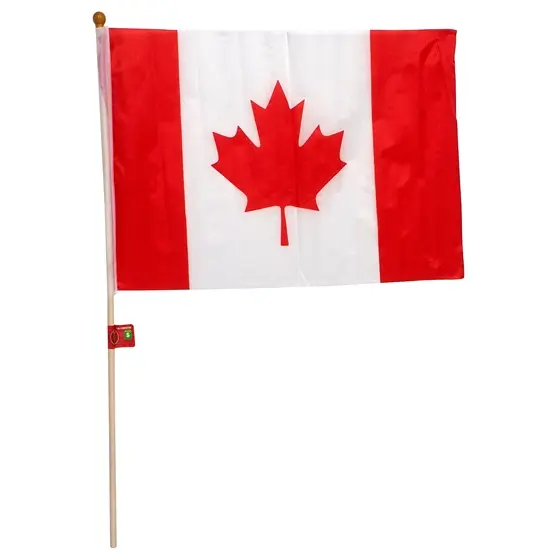 Drapeau du Canada 12 x 18" sur pôle - Caisse de 12 | Dollarama