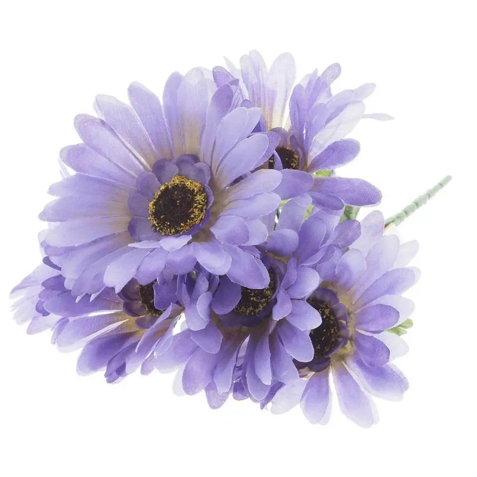 Gerbera Daisy Flower Bush (Assorted Colours)