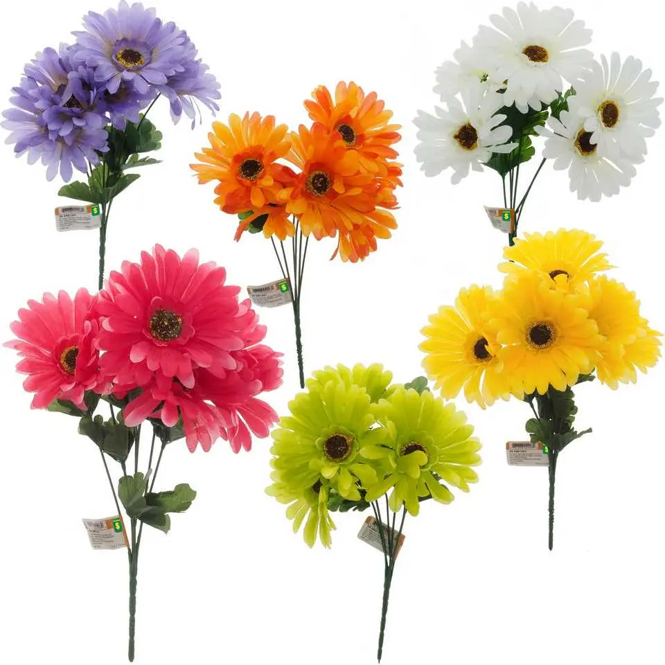 Gerbera Daisy Flower Bush (Assorted Colours)