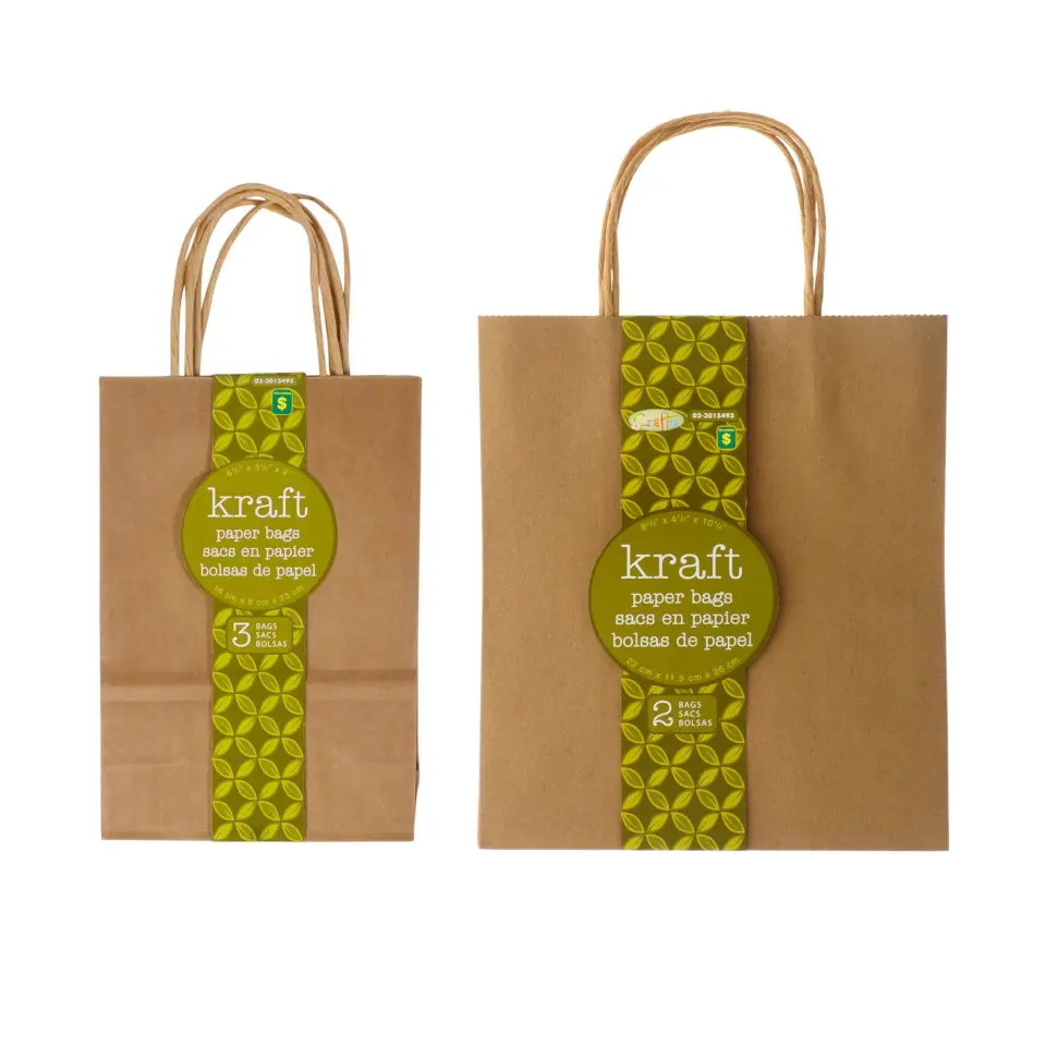 Paper Bags with Handles (Assorted Sizes)