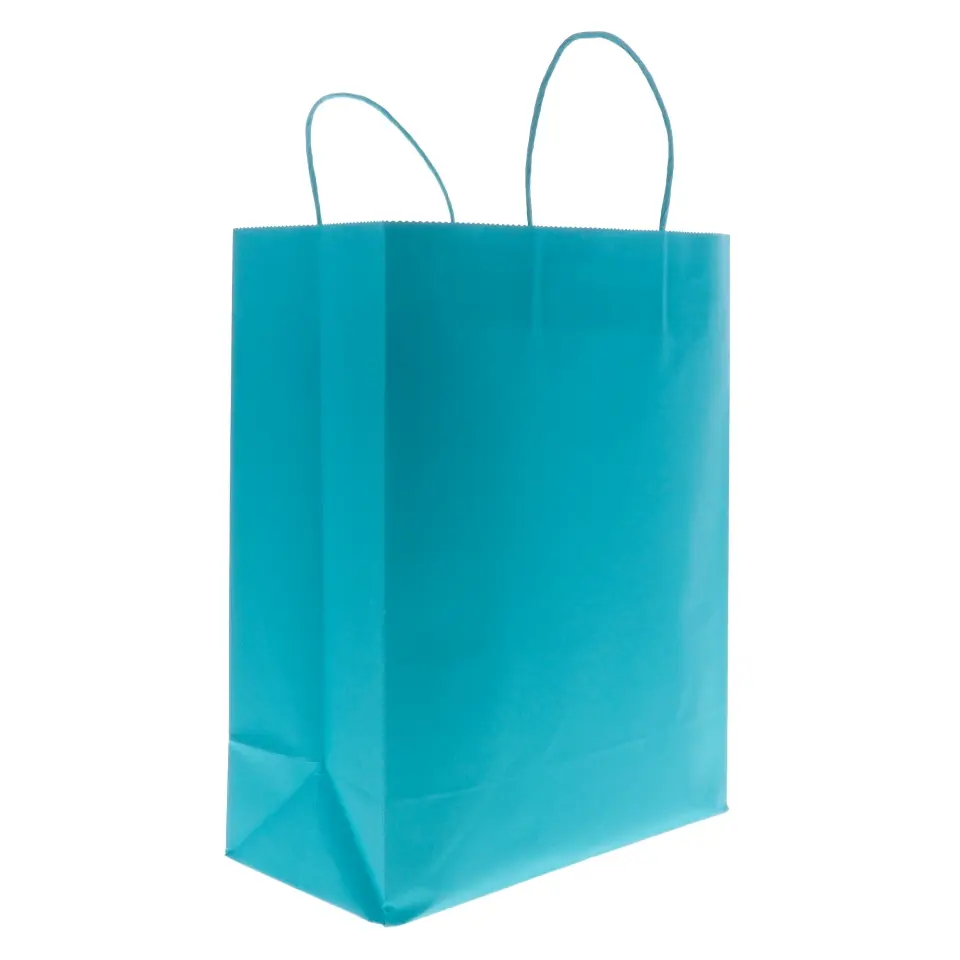 Kraft Paper Bags 2PK (Assorted Colours)