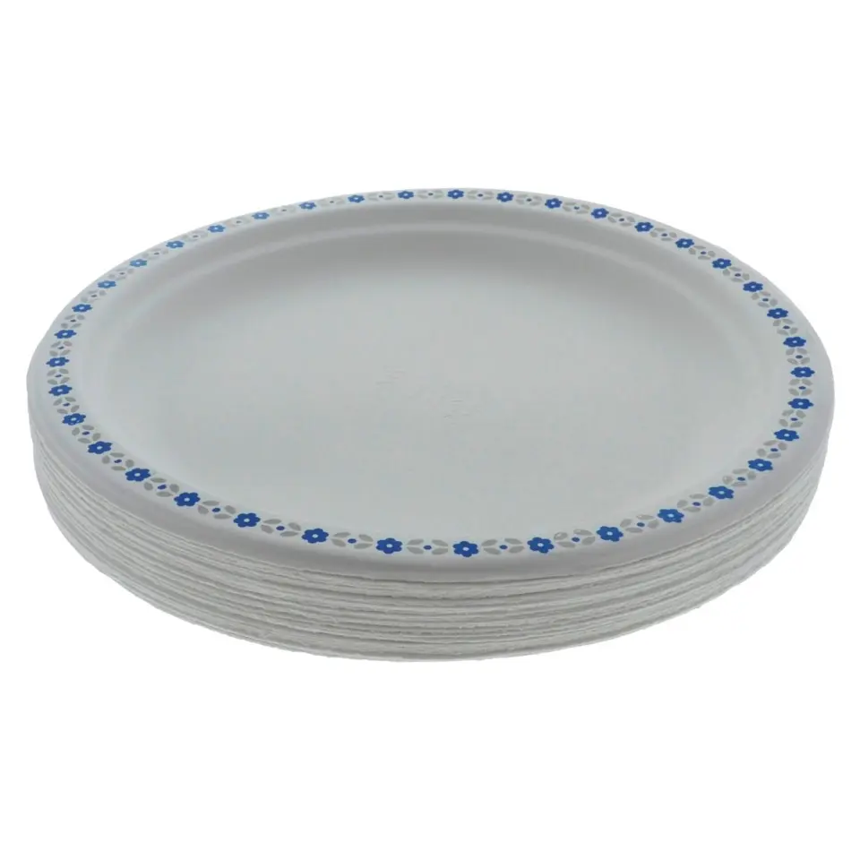 Disposable Luncheon Plates 20PK