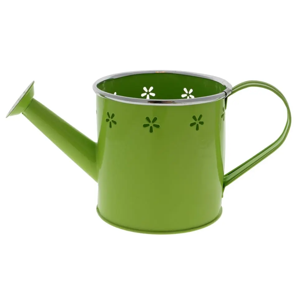 Metal Watering Can