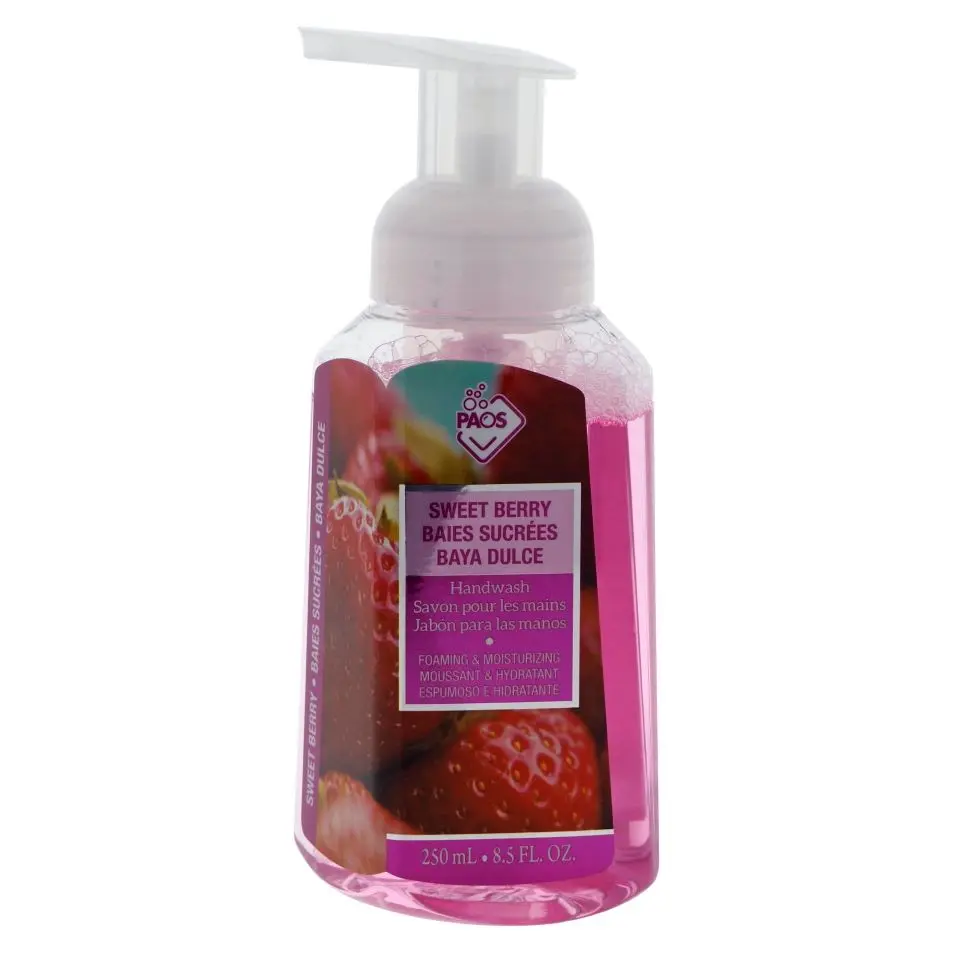 Foaming Handwash (Assorted Scents)