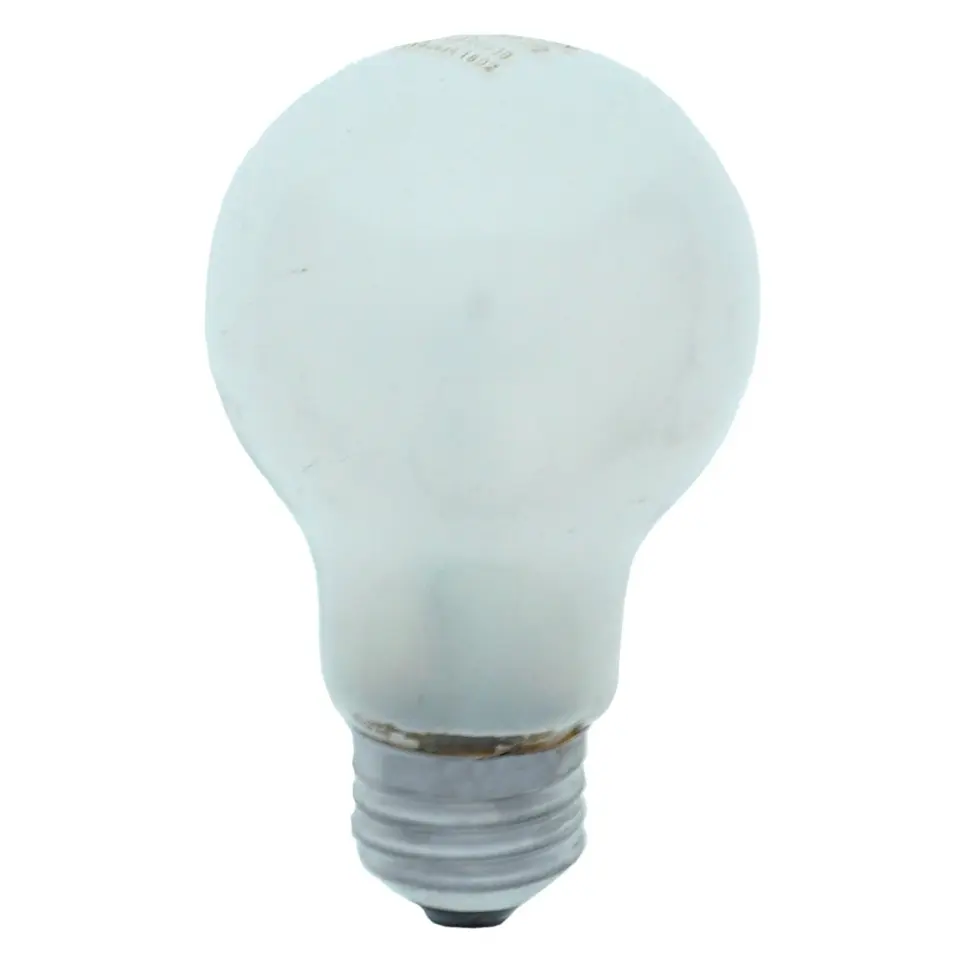 A19 60W Frosted Long Life Bulbs 2PK