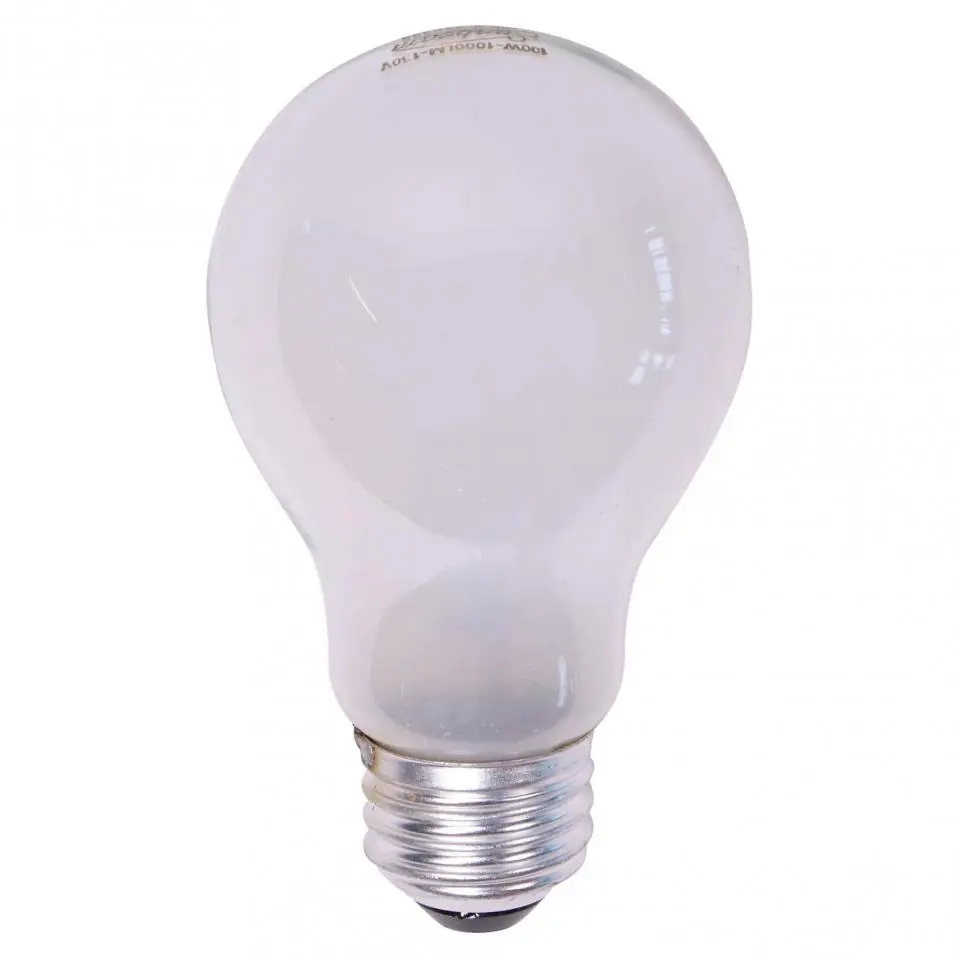 A19 100W Frosted Long Life Bulbs 2PK