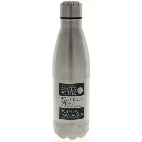 Stainless Steel Water Bottle - Case of 18 | Dollarama